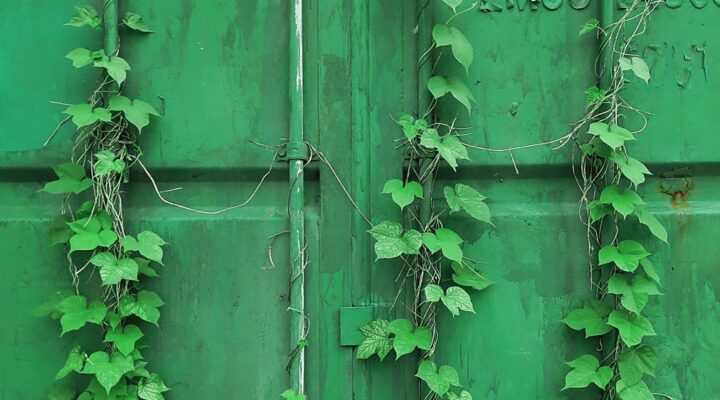 Green container