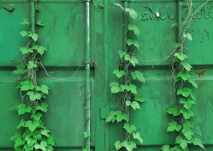 Green container